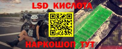 меф Кингисепп
