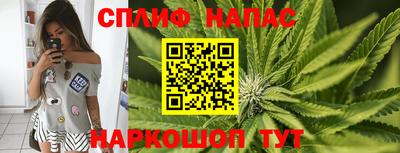 мет Камышлов