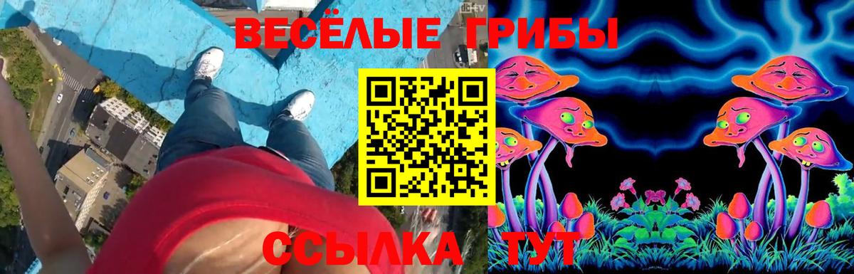 Конаково  Галлюциногенные грибы мухоморы  что такое   Вход с VPN 